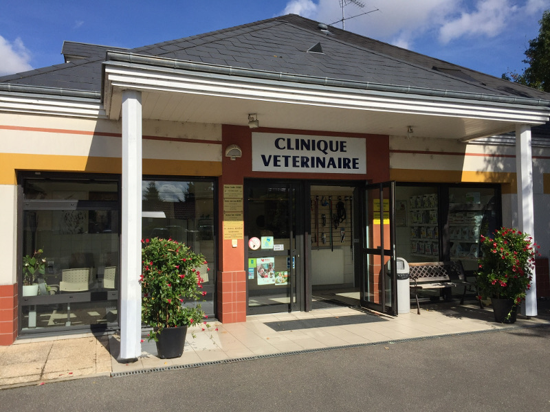 clinique1-crop